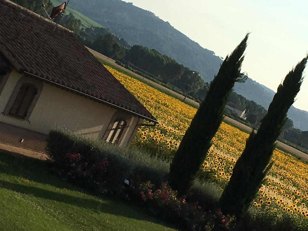 Agriturismo Le Rondini Di Francesco Di Assisi Cannara Exterior foto